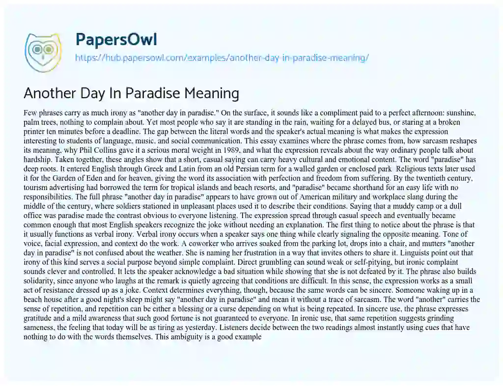Essay on Another Day In Paradise Meaning