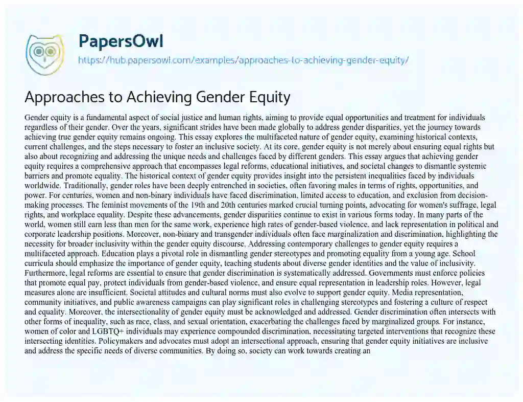 Essay on Approaches to Achieving Gender Equity