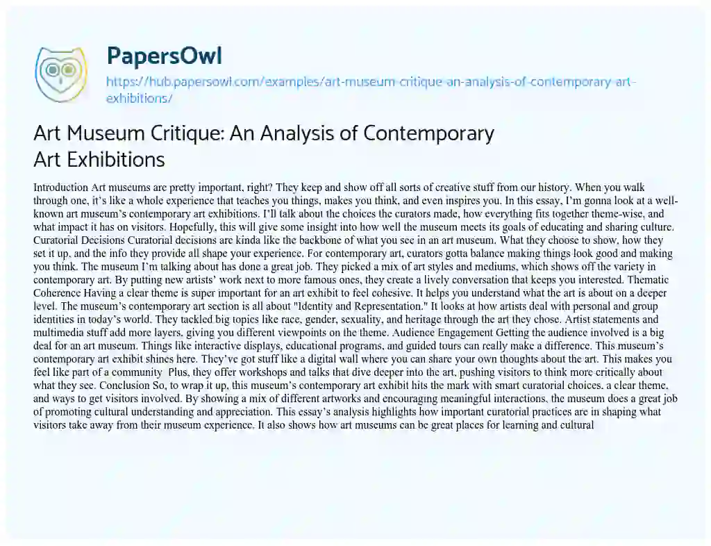 Essay on Art Museum Critique: An Analysis of Contemporary Art Exhibitions