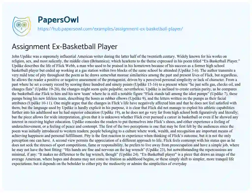 Essay on Assignment Ex-Basketball Player