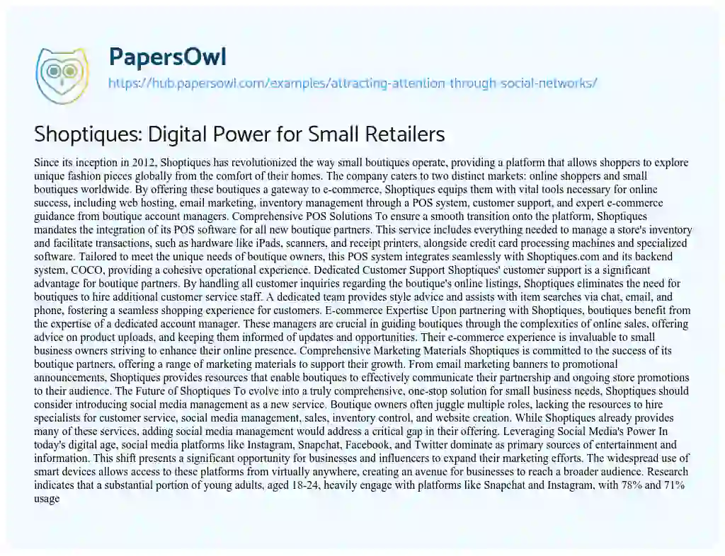 Essay on Shoptiques: Digital Power for Small Retailers