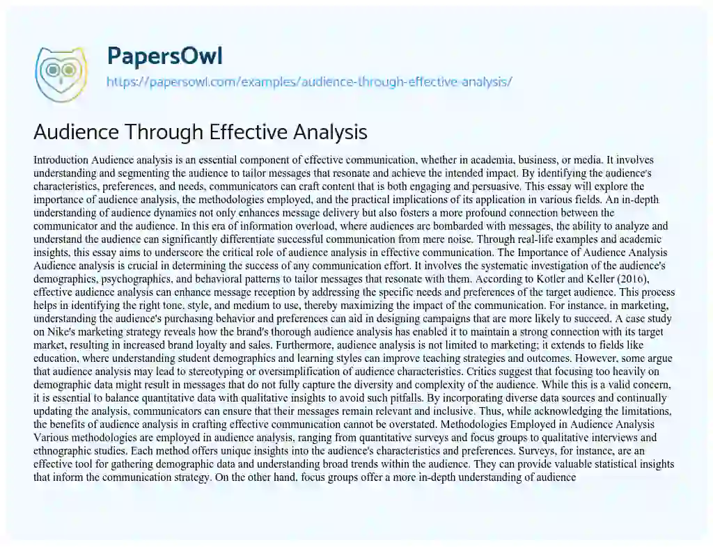 Essay on Audience Through Effective Analysis