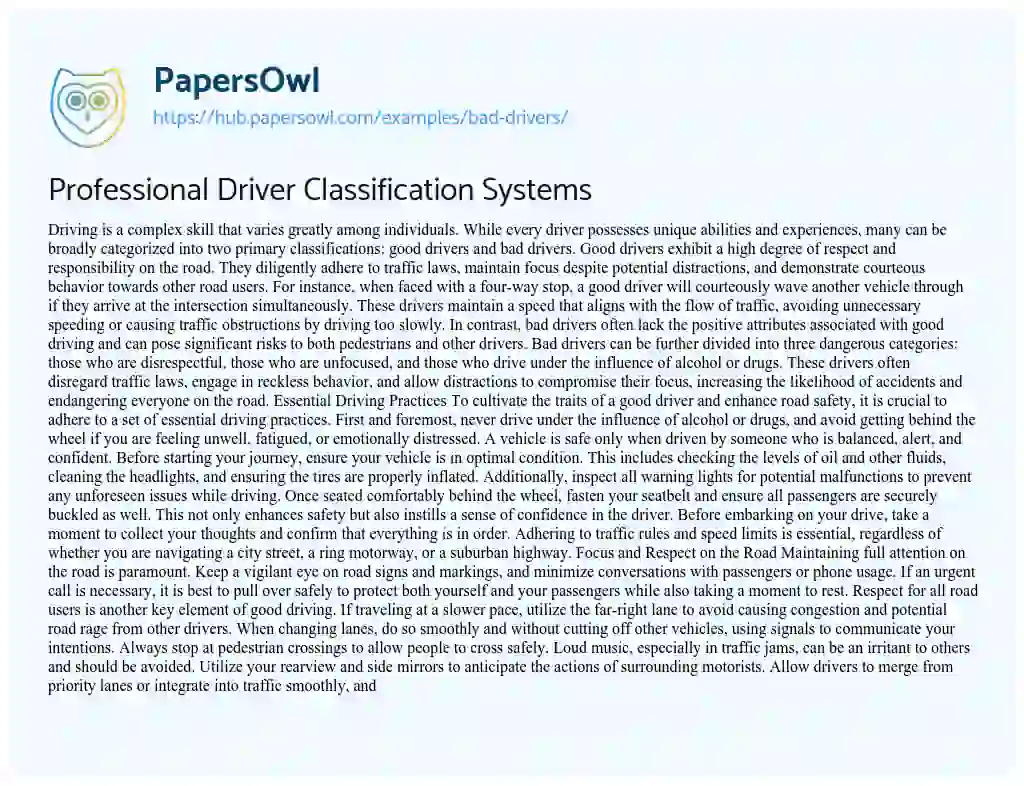 Essay on Professional Driver Classification Systems