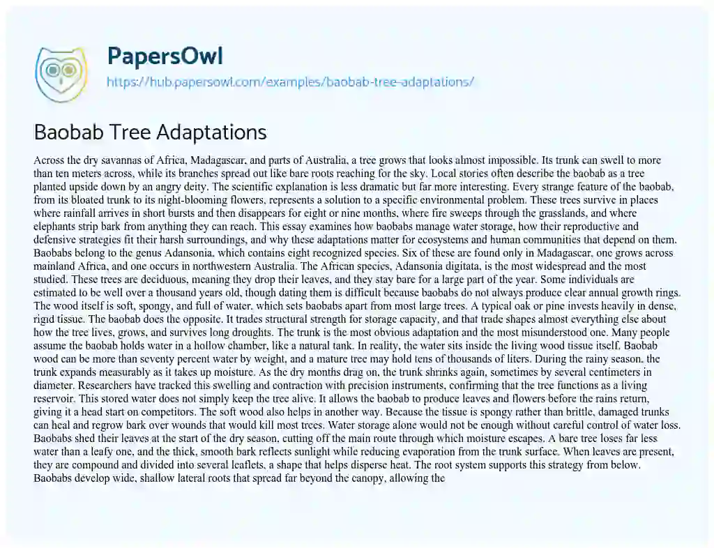 Essay on Baobab Tree Adaptations