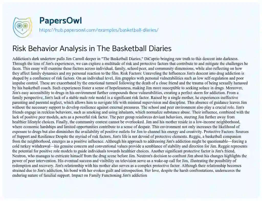 Essay on Risk Behavior Analysis in The Basketball Diaries