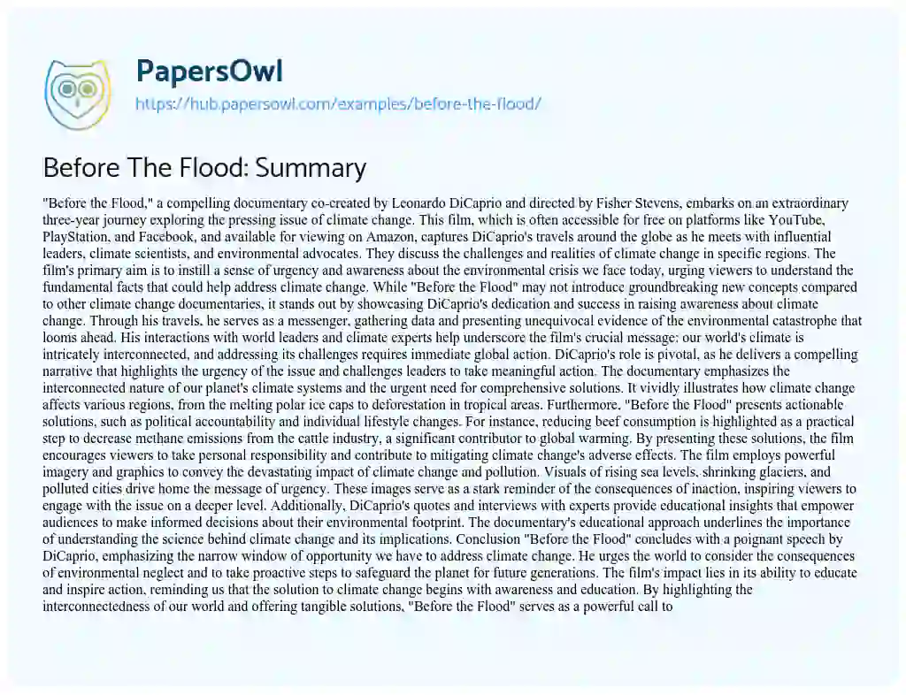 Essay on Before The Flood: Summary