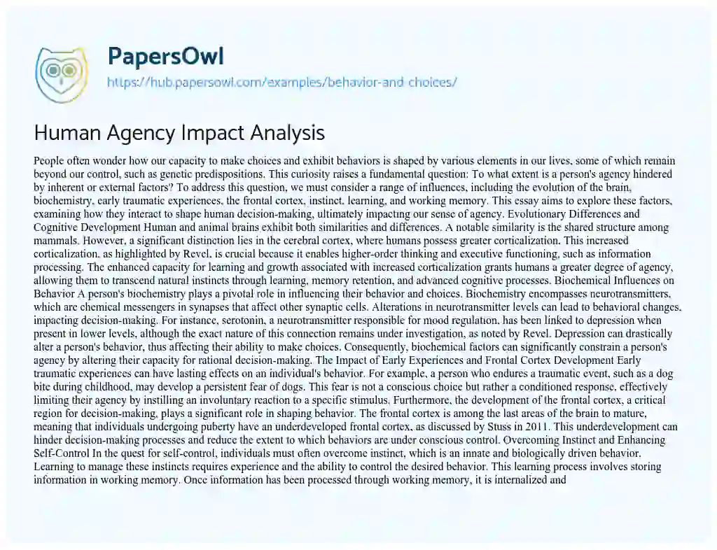 Essay on Human Agency Impact Analysis