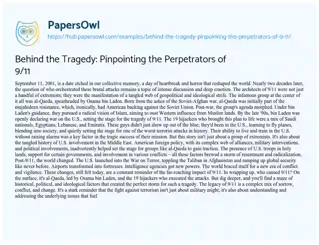 Essay on Behind the Tragedy: Pinpointing the Perpetrators of 9/11
