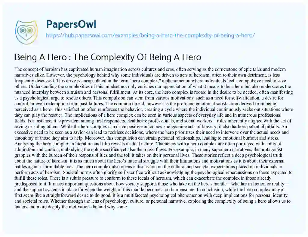 Essay on Being A Hero : The Complexity Of Being A Hero