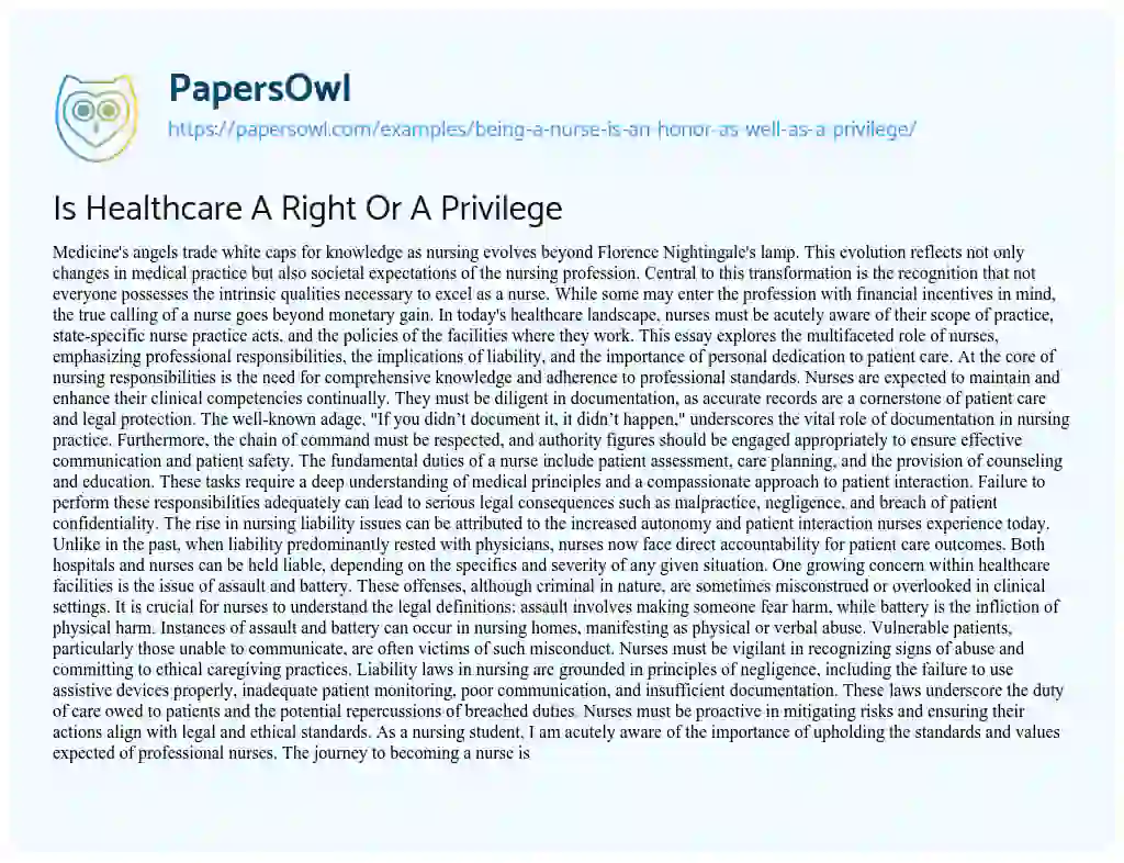 Essay on Is Healthcare A Right Or A Privilege