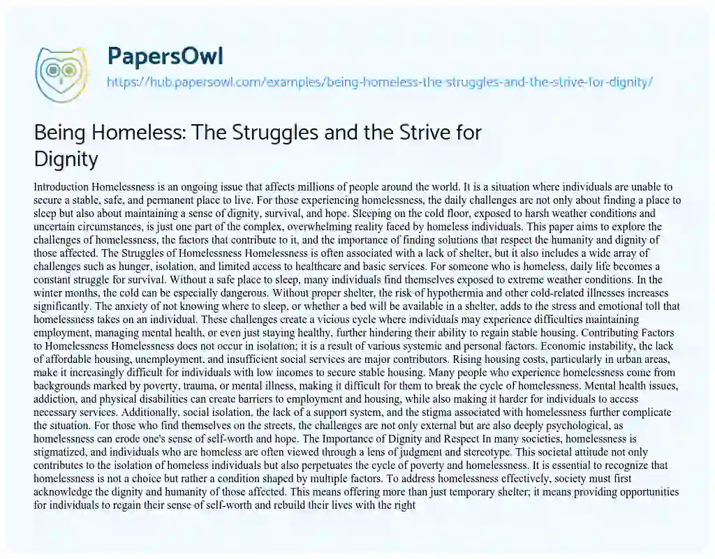 Essay on Being Homeless: The Struggles and the Strive for Dignity