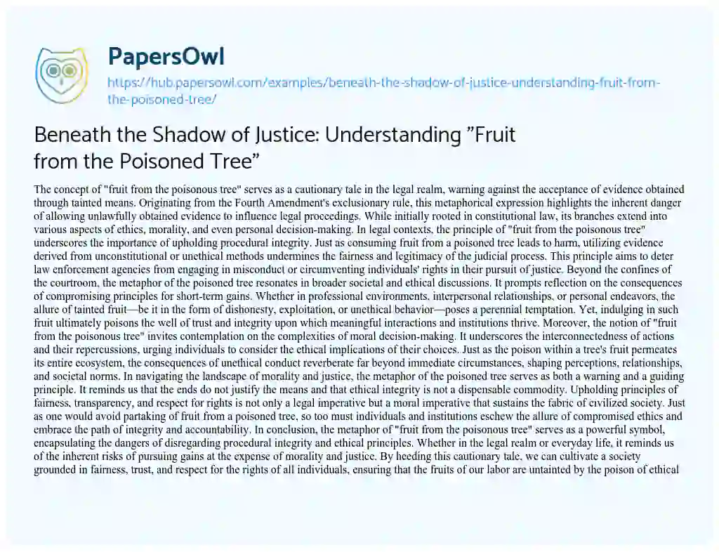 Essay on Beneath the Shadow of Justice: Understanding “Fruit from the Poisoned Tree”