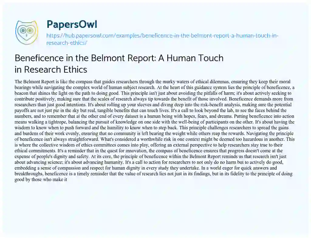 Essay on Beneficence in the Belmont Report: A Human Touch in Research Ethics
