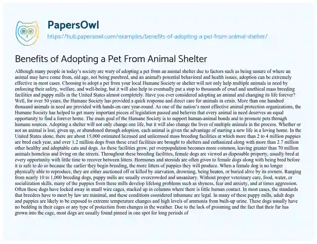 Essay on Benefits of Adopting a Pet From Animal Shelter