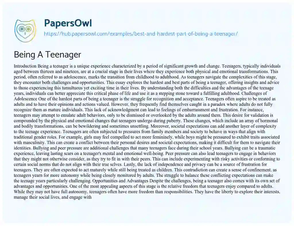 Essay on Being A Teenager