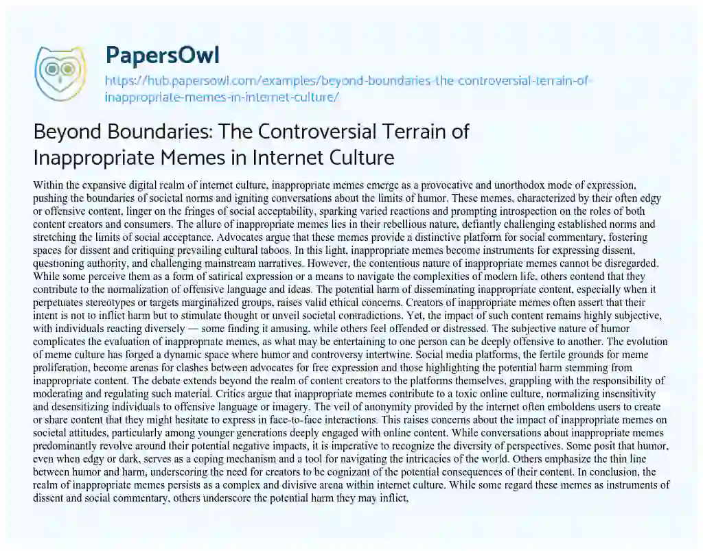 Essay on Beyond Boundaries: The Controversial Terrain of Inappropriate Memes in Internet Culture