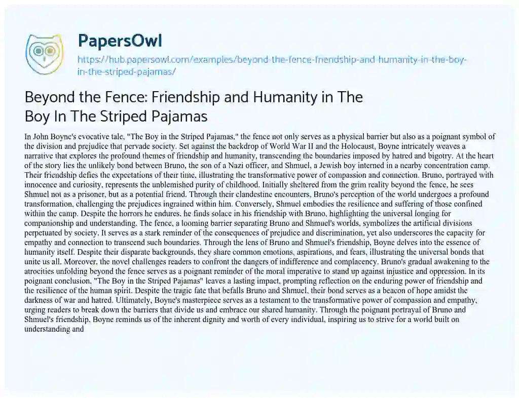 Essay on Beyond the Fence: Friendship and Humanity in The Boy In The Striped Pajamas