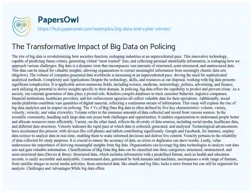 Essay on The Transformative Impact of Big Data on Policing