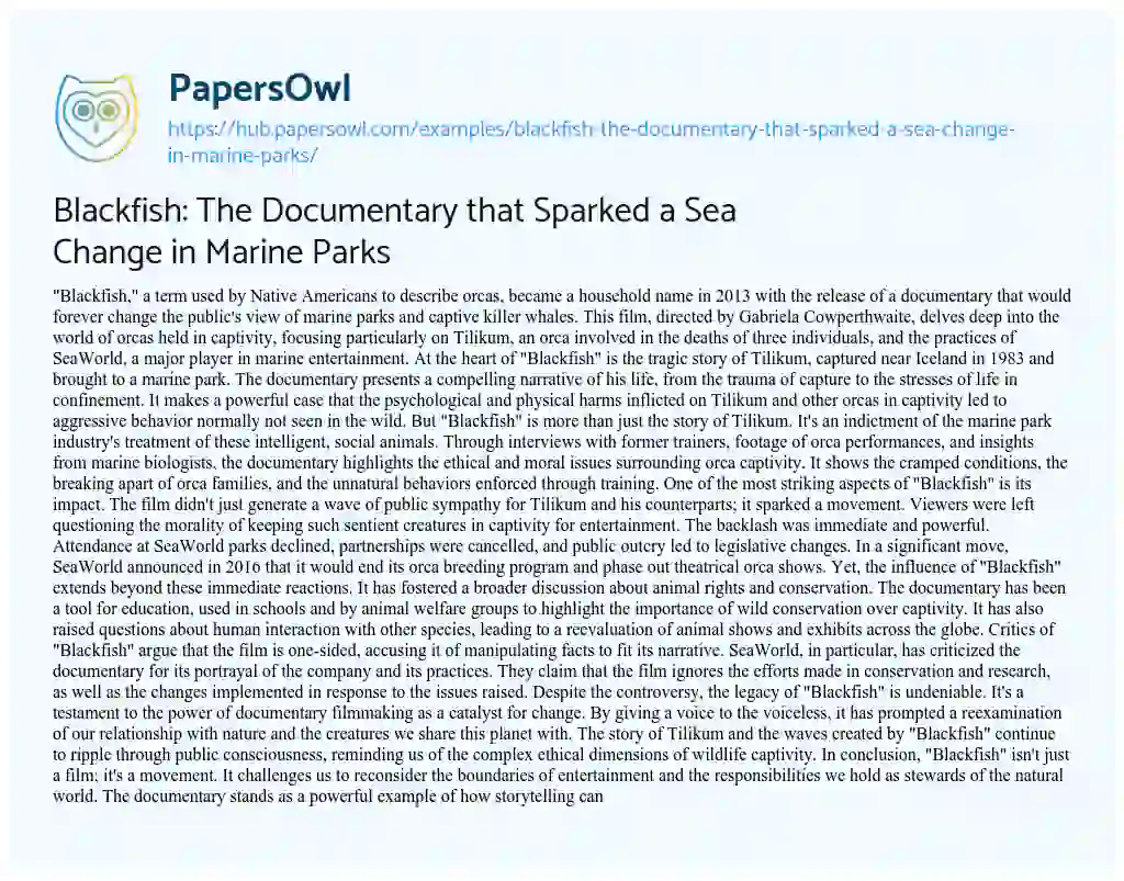 Essay on Blackfish: The Documentary that Sparked a Sea Change in Marine Parks