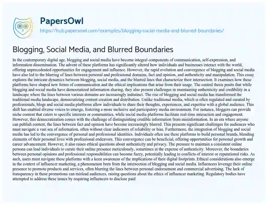 Essay on Blogging, Social Media, and Blurred Boundaries