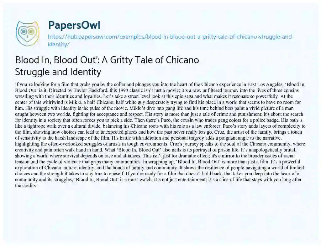 Essay on Blood In, Blood Out’: A Gritty Tale of Chicano Struggle and Identity