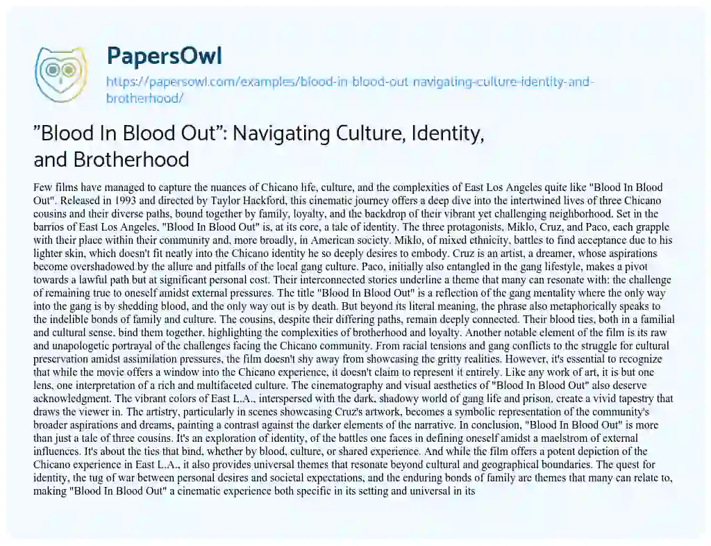 Essay on “Blood In Blood Out”: Navigating Culture, Identity, and Brotherhood