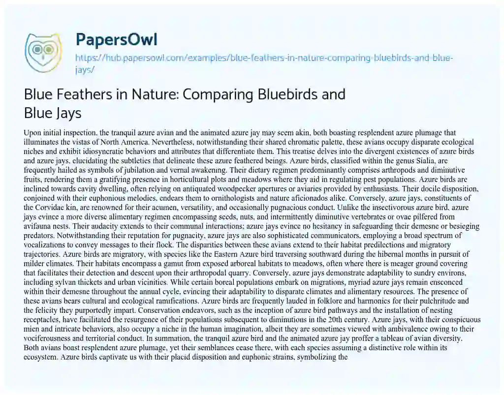 Essay on Blue Feathers in Nature: Comparing Bluebirds and Blue Jays