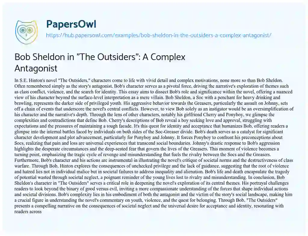 Essay on Bob Sheldon in “The Outsiders”: A Complex Antagonist