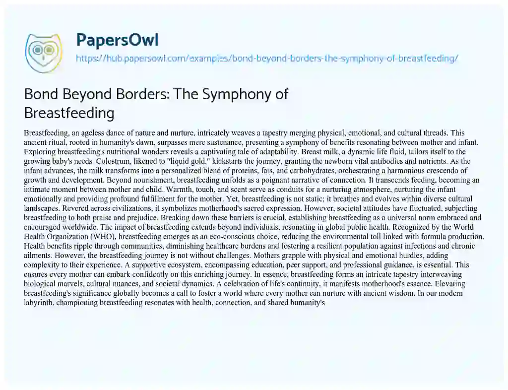 Essay on Bond Beyond Borders: The Symphony of Breastfeeding