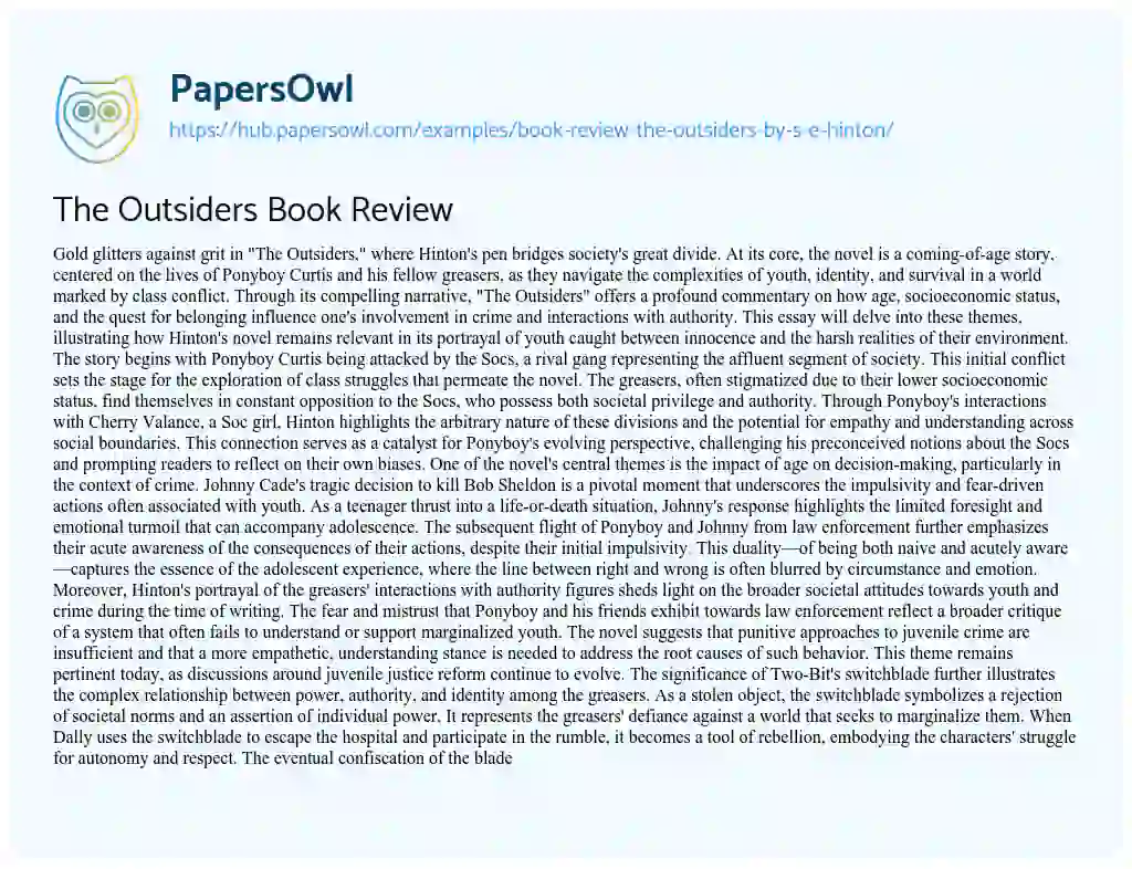 Essay on The Outsiders Book Review