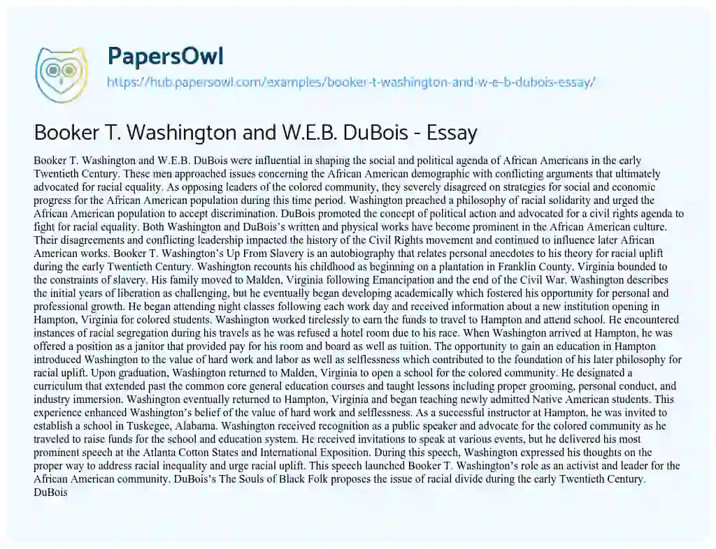 Essay on Booker T. Washington and W.E.B. DuBois – Essay
