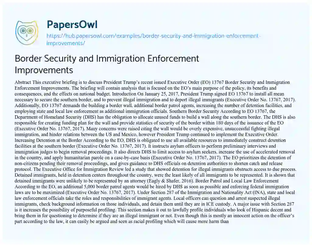 Essay on Border Security and Immigration Enforcement Improvements