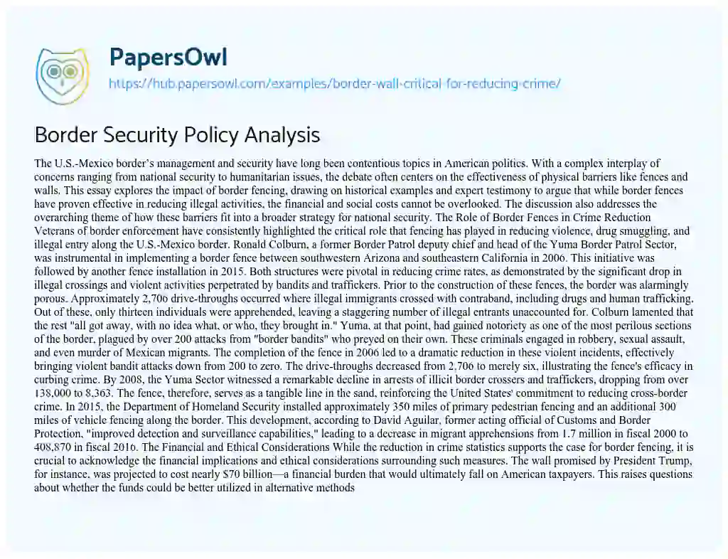 Essay on Border Security Policy Analysis