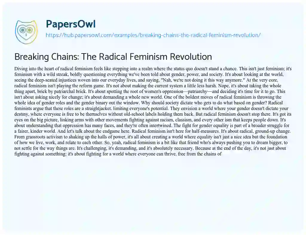 Essay on Breaking Chains: The Radical Feminism Revolution