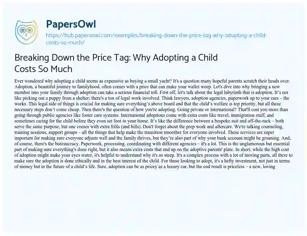 Essay on Breaking Down the Price Tag: Why Adopting a Child Costs So Much
