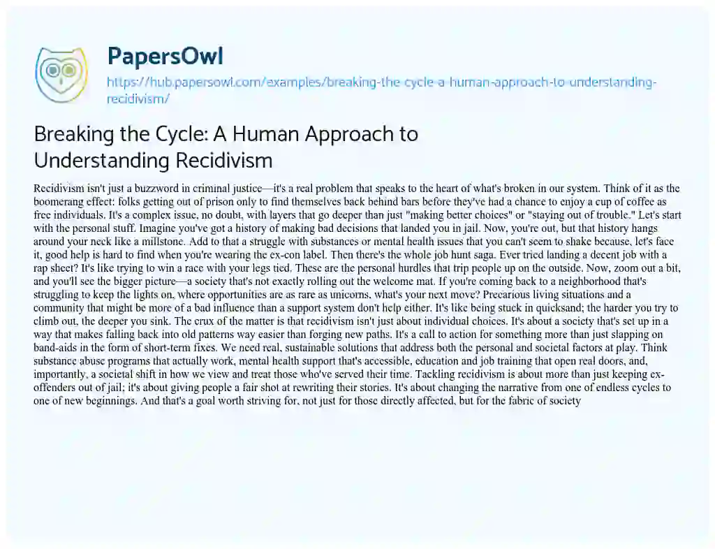 Essay on Breaking the Cycle: A Human Approach to Understanding Recidivism