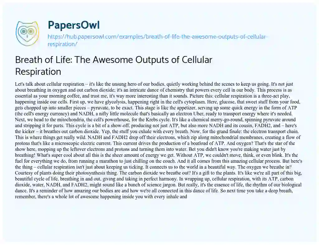 Essay on Breath of Life: The Awesome Outputs of Cellular Respiration
