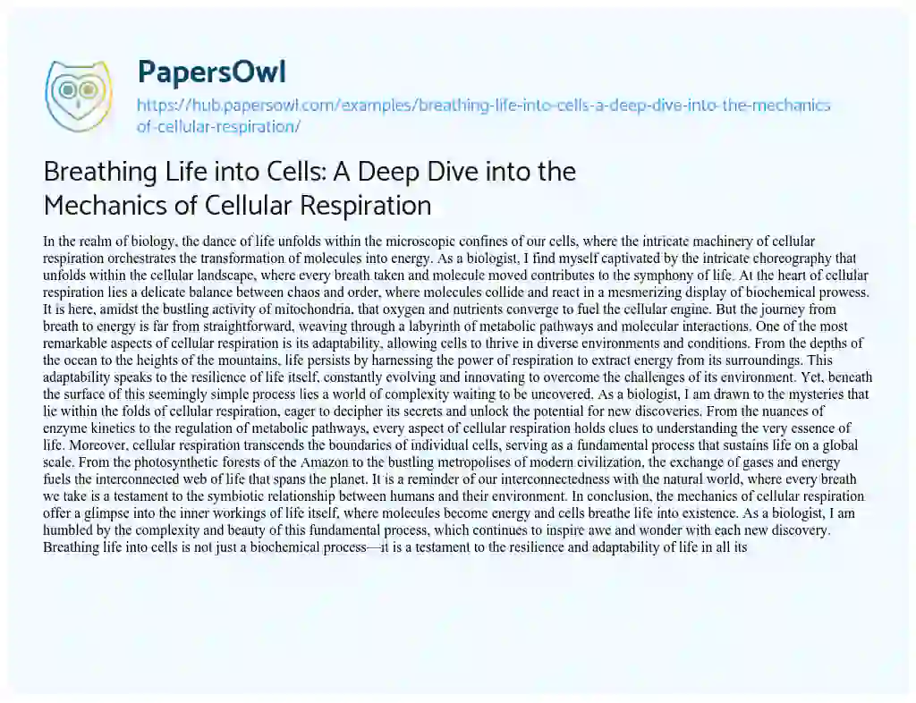 Essay on Breathing Life into Cells: A Deep Dive into the Mechanics of Cellular Respiration