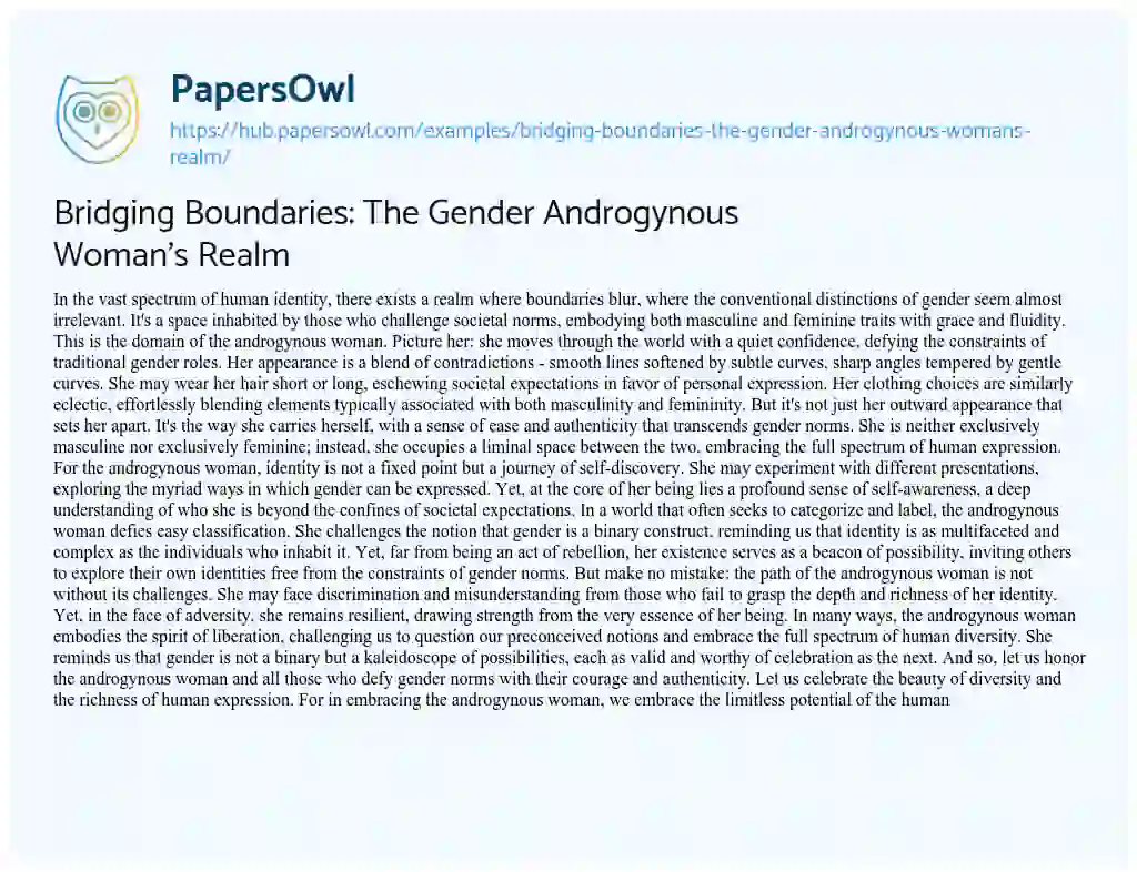 Essay on Bridging Boundaries: The Gender Androgynous Woman’s Realm