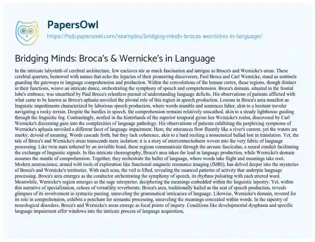 Essay on Bridging Minds: Broca’s & Wernicke’s in Language