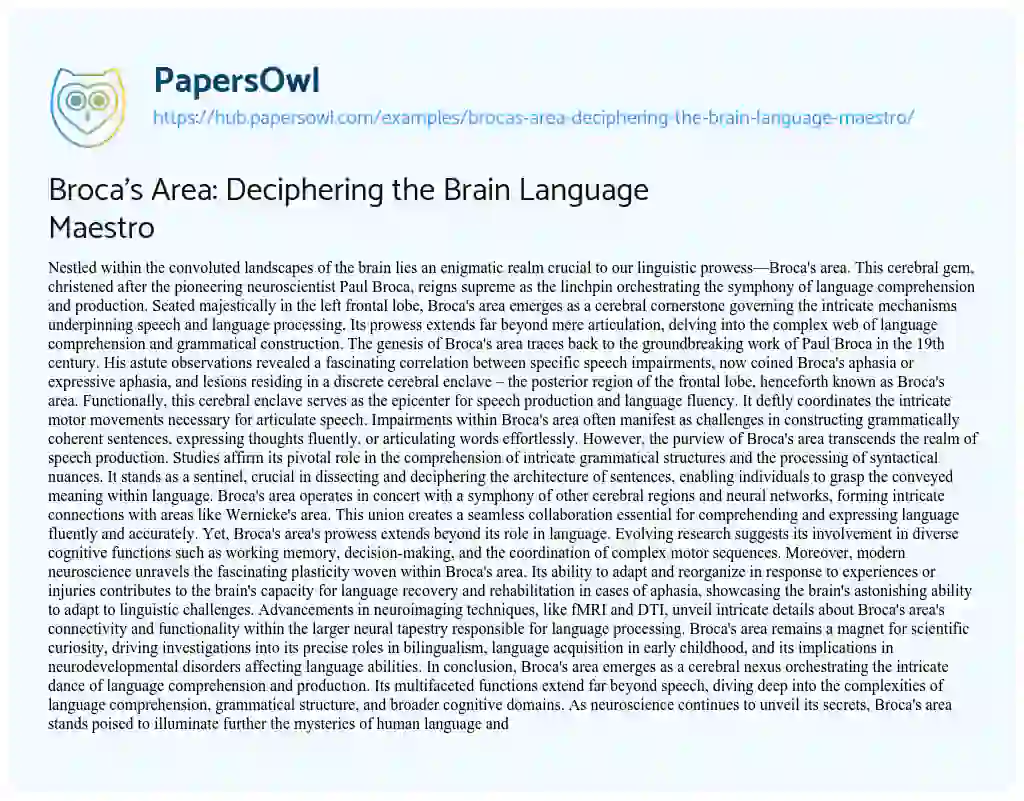 Essay on Broca’s Area: Deciphering the Brain Language Maestro