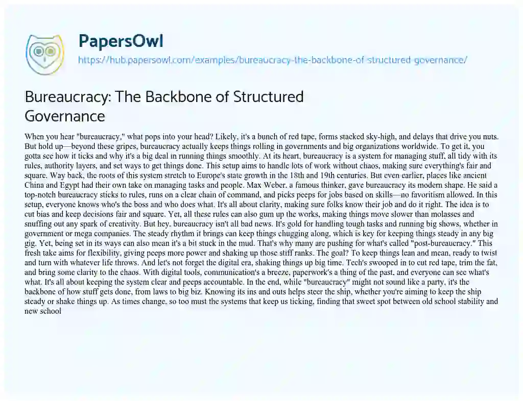 Essay on Bureaucracy: The Backbone of Structured Governance