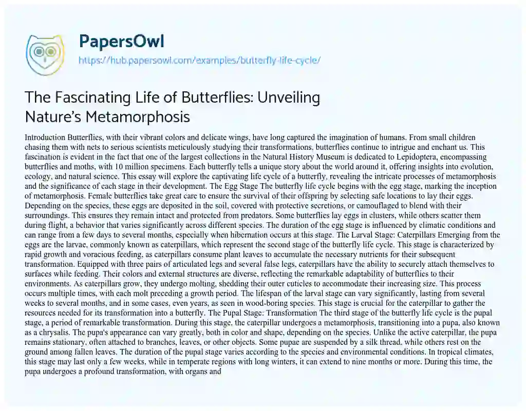 Essay on The Fascinating Life of Butterflies: Unveiling Nature’s Metamorphosis