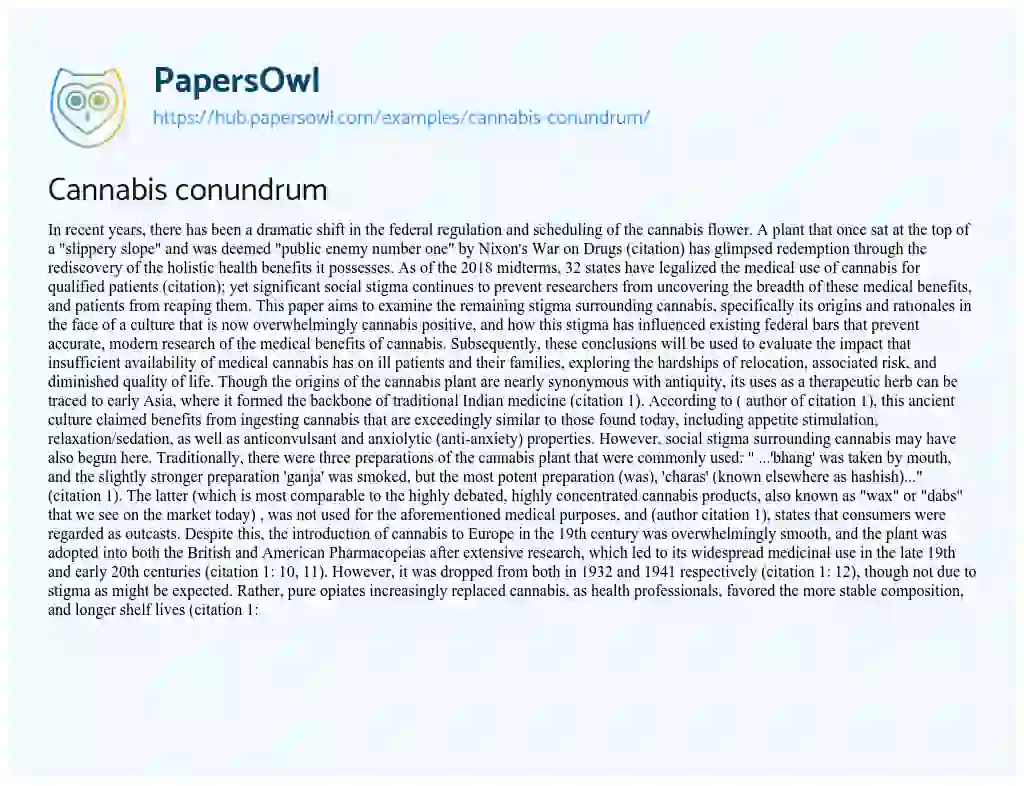 Essay on Cannabis conundrum