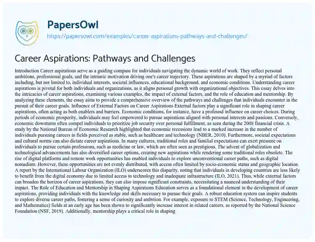 Essay on Career Aspirations: Pathways and Challenges