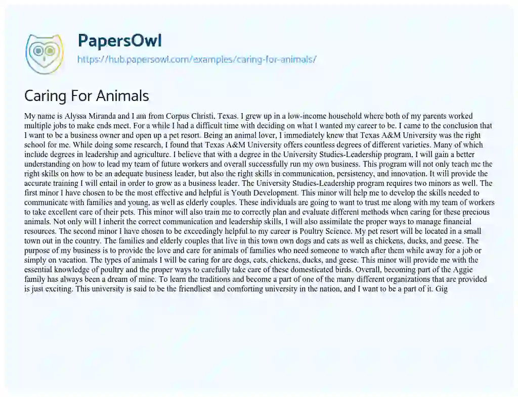 Essay on Caring For Animals