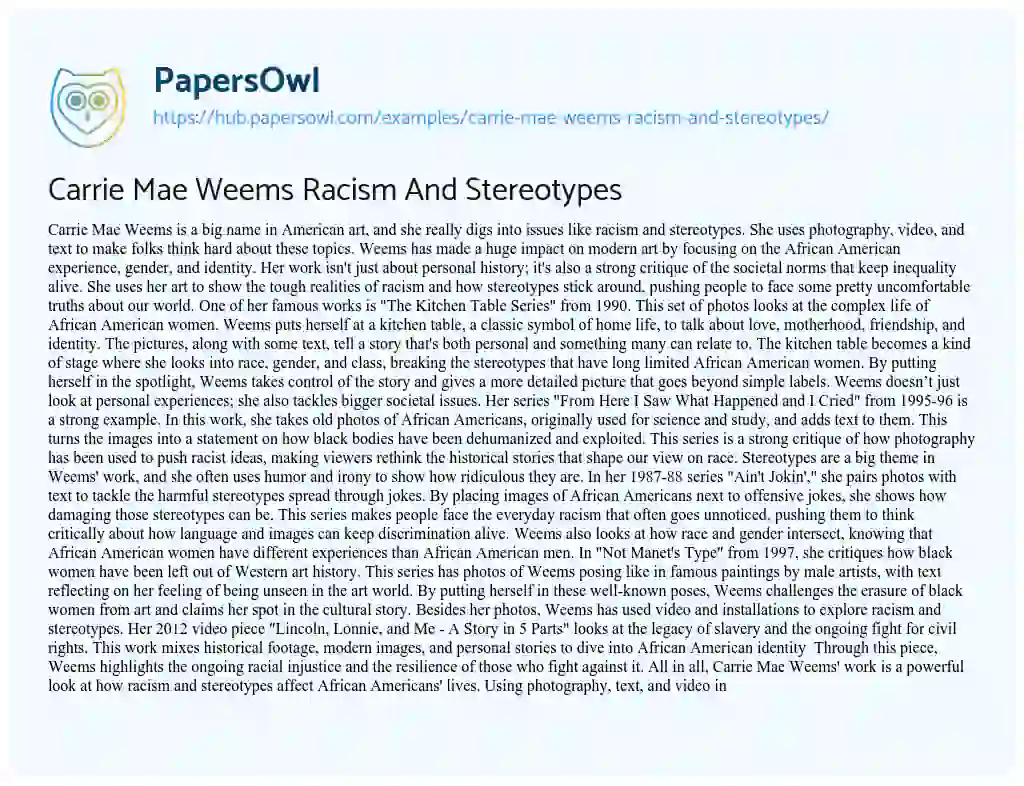 Essay on Carrie Mae Weems Racism And Stereotypes