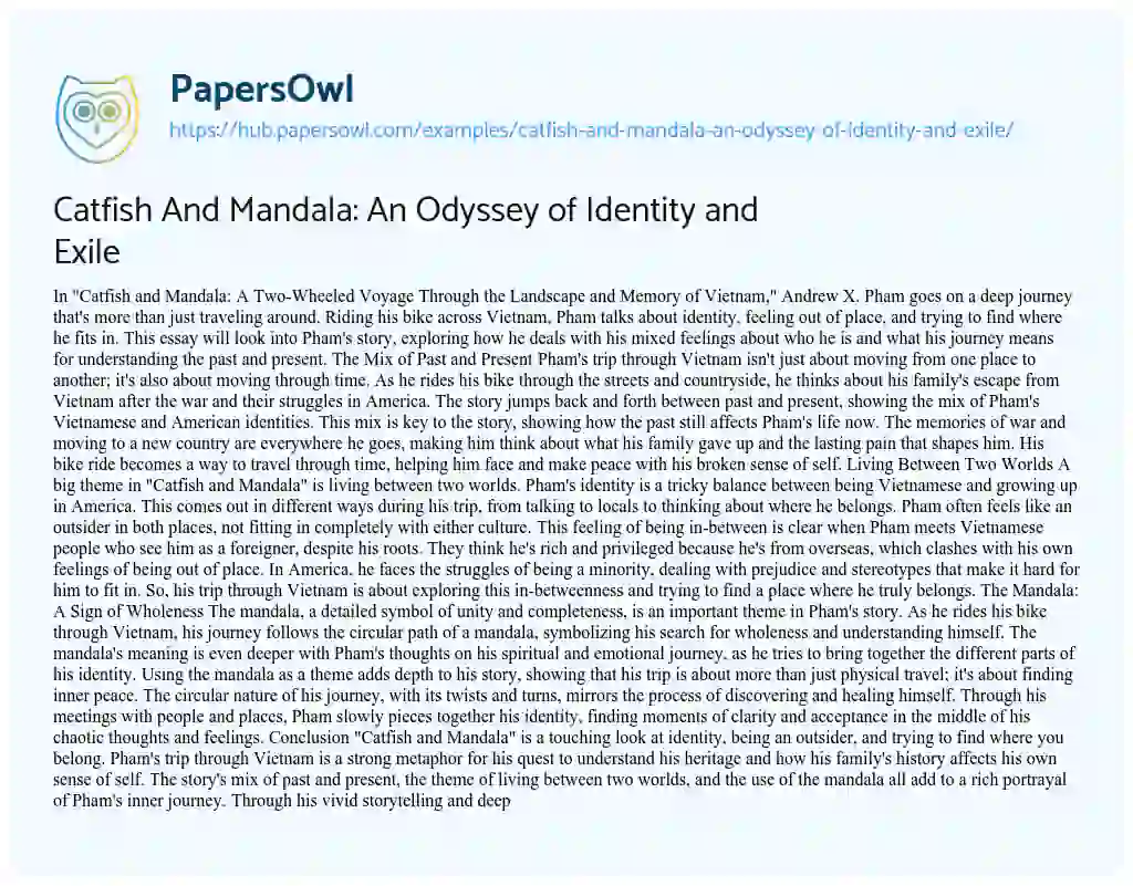 Essay on Catfish And Mandala: An Odyssey of Identity and Exile