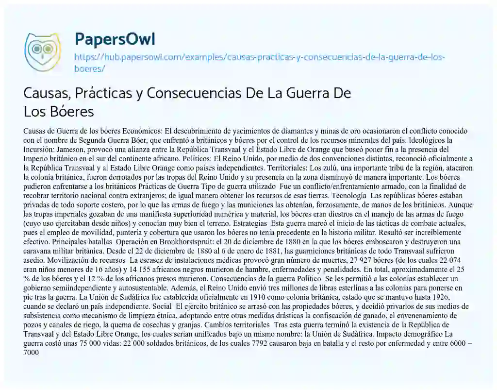 Essay on Causas, Prácticas y Consecuencias De La Guerra De Los Bóeres