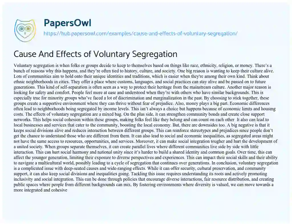 Essay on Cause And Effects of Voluntary Segregation